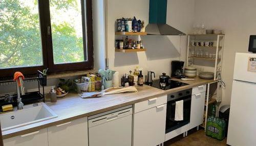 Villa with Garden near Rome for Groups & Families - Foto 3, stove, dishwasher, toaster