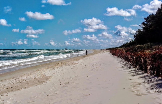 Summer House in Kopalino Near the Sea - Photo 49