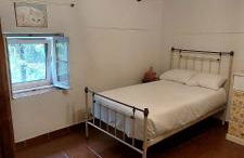 Monte do Rei Santo - Foto 38