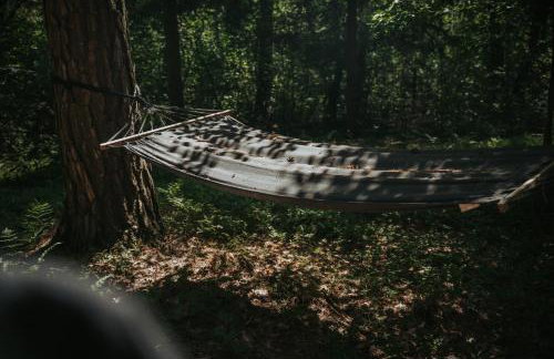 Forest Cabin - 50min od Warszawy - Foto 34