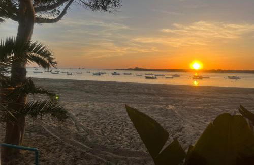 Mi Paraiso - Photo 8