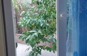 Apartment Dolphins - Photo 46