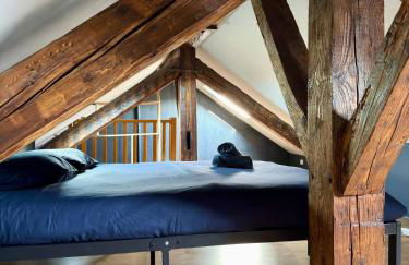 Cosy 4 - Montbéliard centre 80m2 - Foto 34