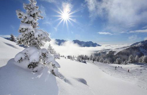 Appartamenti Mosconi Mistica - Foto 46