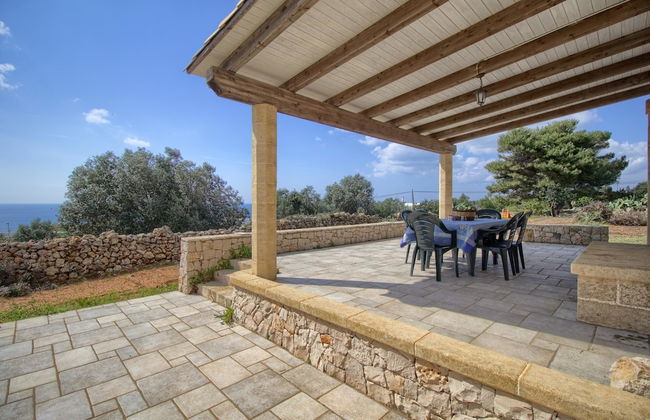 Salvia Lovely Seaview - Foto 11