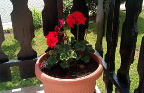 Apartment Dolores - Foto 23