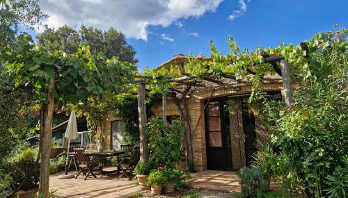 Olivo at Pietraie a cottage with many flowers in the Valley - Foto 4, Garden