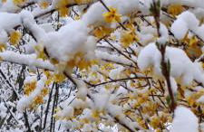 Ferienwohnung Kirchberg Uettingen - Foto 17