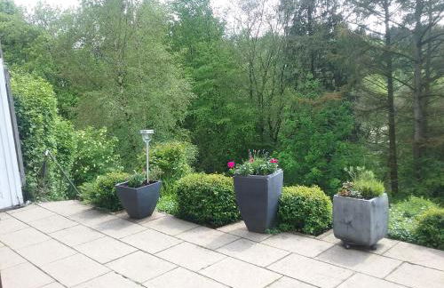 Perlenbachtal - Foto 33