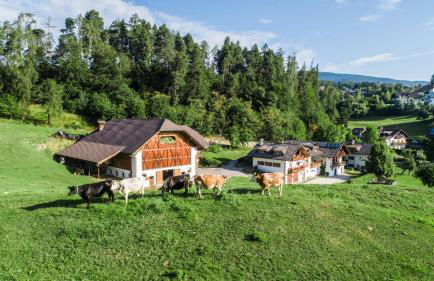 Appartments Neuhof - Photo 3