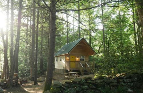 Holly Nest a Cozy Cabin Getaway near Gatlinburg - Photo 11