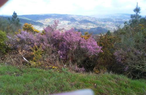 Casa da Viña - Ribeira Sacra - Foto 35