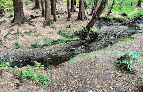 Hottub-nature-familyfriendly-wifi-parking - Foto 82