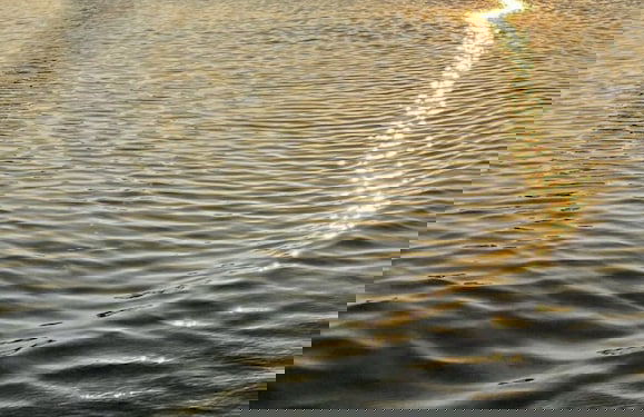 CASA PAPA Home&Space - Foto 68