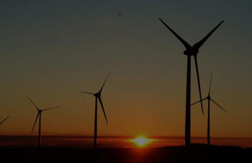 Ares do Montemuro - Foto 21