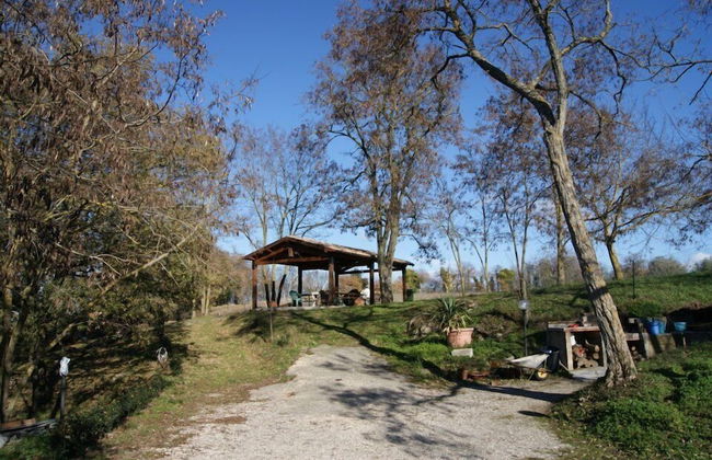 Agriturismo Il Cornalino - Photo 30