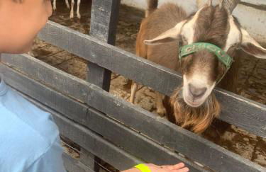 Flat studio monte castelo gravatá PE - Foto 3