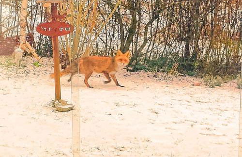 Ferienhaus Diemelsee-Sudeck - Foto 27
