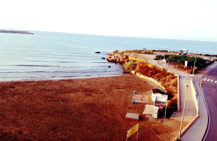 vinaros playa de arena - Foto 14