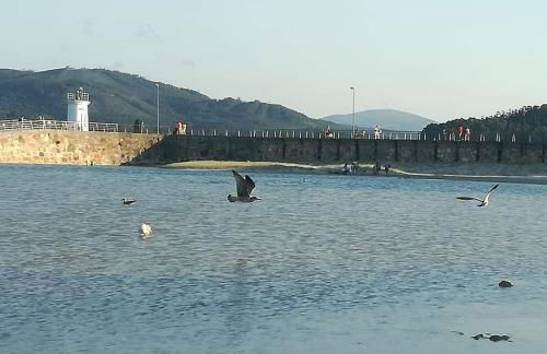 Foz, ven y disfruta Galicia - Foto 41