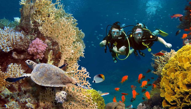 Batismo de mergulho na Ilha do Sal - Foto 2