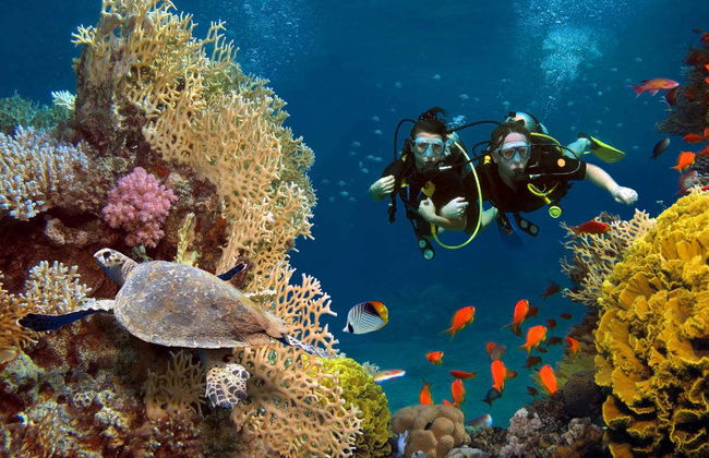 Batismo de mergulho na Ilha do Sal - Foto 2