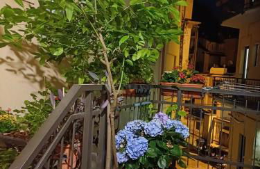 La Terrazzina, silenzioso, zona Piazza Gran Madre - Foto 11