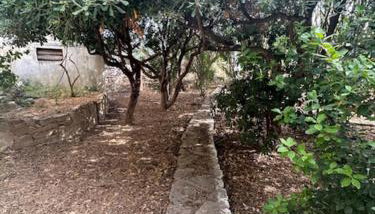 Casa Aptera - Foto 4