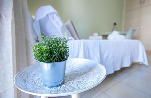 Malva Rosa Apartment - Photo 11