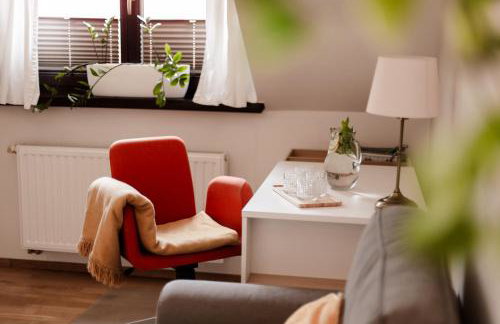 Dom Puchacza w Lądku-Zdroju - Foto 22