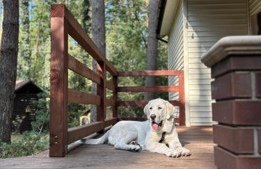 Masuria Warsaw Family - dom na wyłączność - w lesie i przy rzece - 15 min od Warszawy - idealny dla rodzin z dziećmi - Foto 8