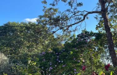 Sitio descanso da Serra - Foto 53