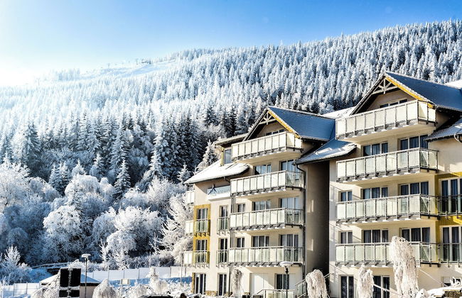 Apartamenty Sun & Snow Panorama Czarna Góra - Foto 50