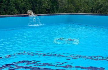 Hort de les Oronetes - Foto 9