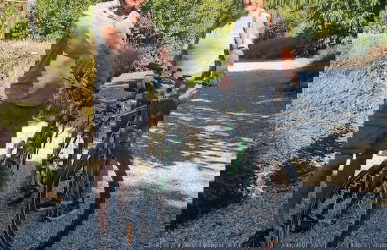 Burn Cottage Retreat - Foto 25