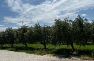 Il casale del Nonno Armando - Foto 17