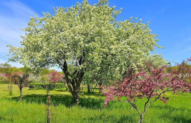 5 Star Holiday Home in Frederikshavn - Foto 22