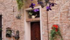 Il giardino segreto - Foto 2, Garden view