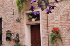 Il giardino segreto - Foto 2