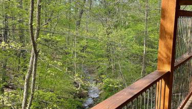 Cricket Hill Treehouse by Amish Country Lodging - Foto 3, Garden view