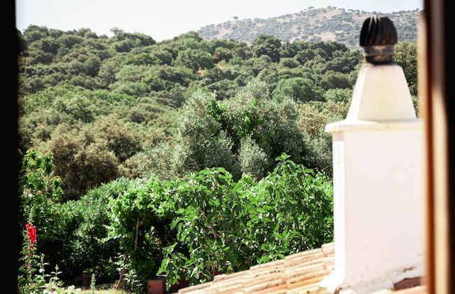 Algaba de Ronda - Foto 51