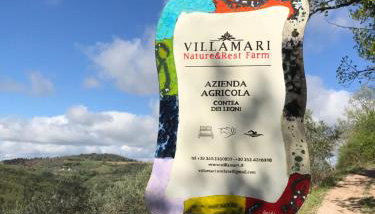 Villa Tilla - Foto 4