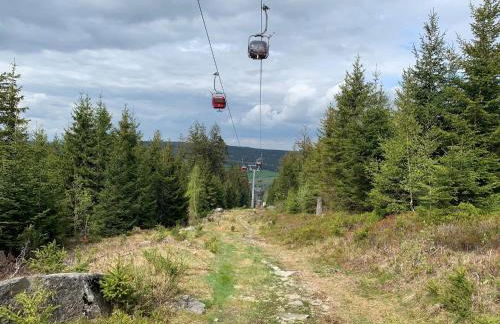 Schöne Ferienwohnung in Schauenstein-Hof im Frankenwald mit Loggia 100qm - Foto 45