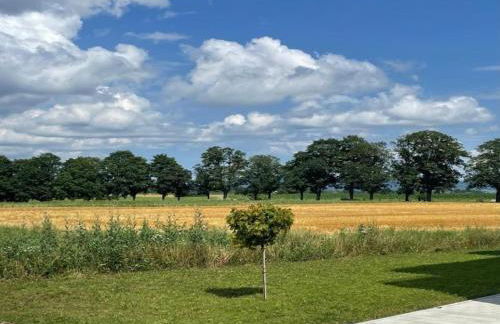 Holiday Apartment Monet in Oberrotweil - Foto 48