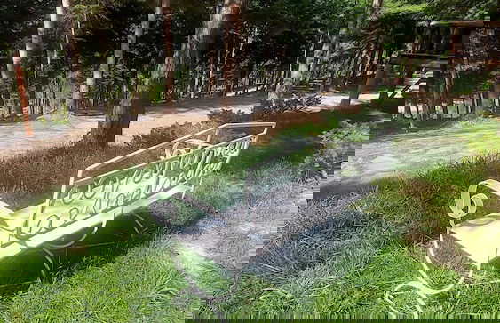 Tumba Sisli Vadi - Foto 67