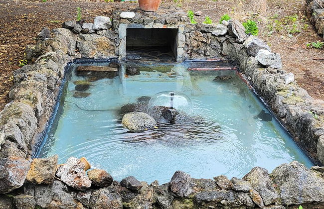 Oasis Hill Botanical Garden - Foto 63