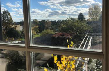 Romantische Ferienwohnung im historischen Stadtkern Jüterbog - Foto 22