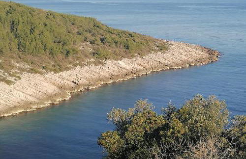 Apartman Marta - Foto 27