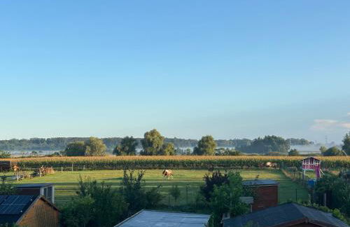 Wohlfühl Oase mit Sauna vor den Toren Berlins - Foto 43