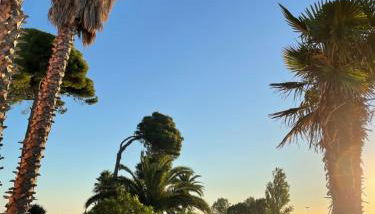 Il Monte Agriresort Copertino - Foto 2